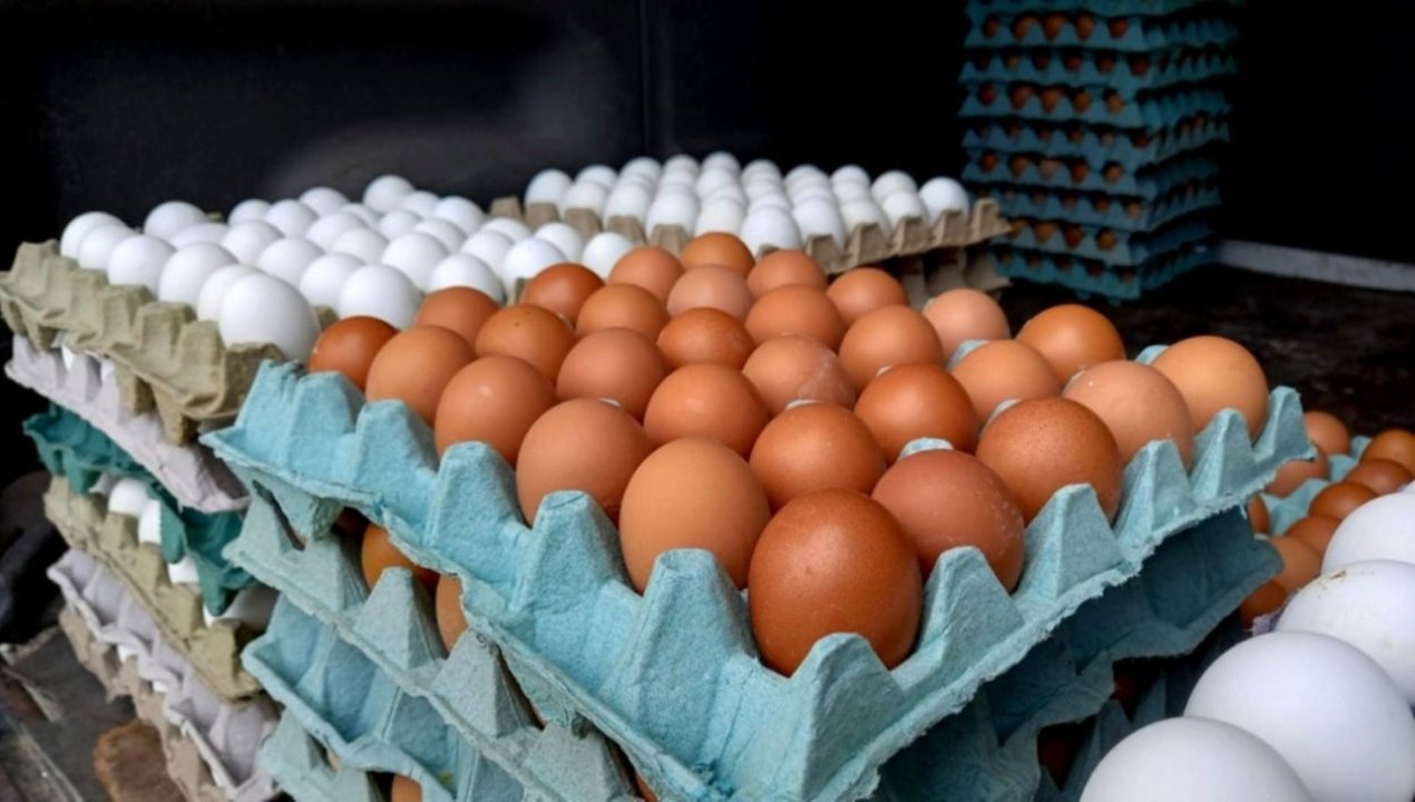 /el-peligro-detras-del-bajo-precio-huevos-de-contrabando-circulan-sin