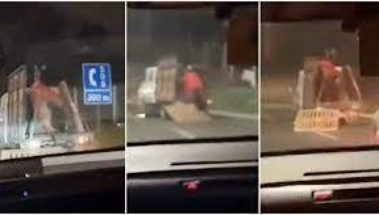 /regionales/region-de-valparaiso/valparaiso-chofer-de-camion-arrastro-a-un-caballo-por-varios-metros-en