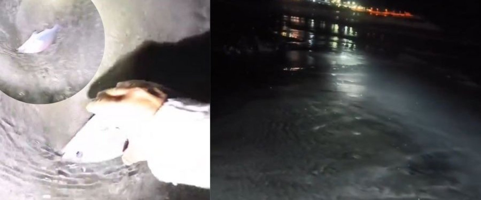 IRRESPONSABILIDAD TOTAL | Graban video en playa durante fuerte recogida de mar en Chile