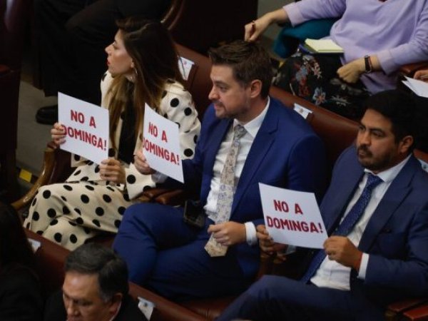 Ministra del Medio Ambiente defendió rechazo a Dominga tras fallo judicial