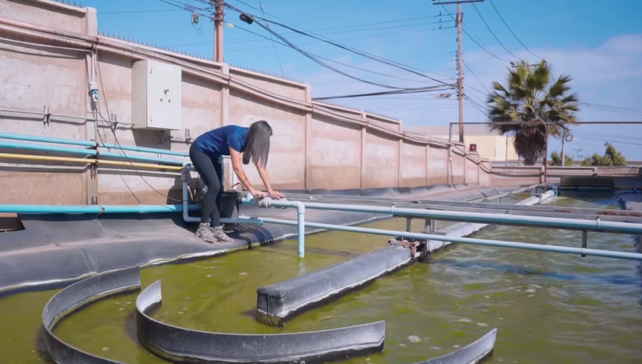 /centro-de-bioinnovacion-de-la-ua-impulsa-gestion-hidrica-sostenible