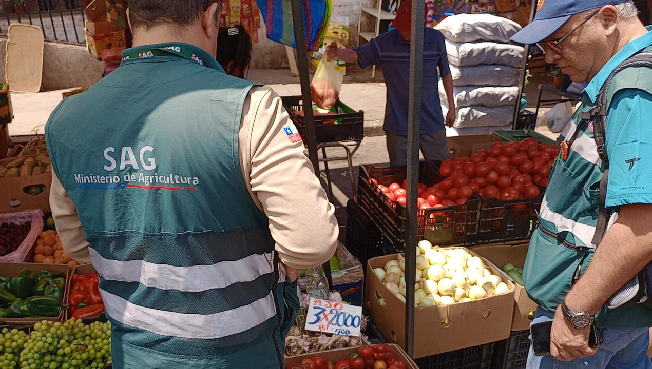 /en-nueva-fiscalizacion-en-feria-de-las-pulgas-inician-sumarios-sanitarios